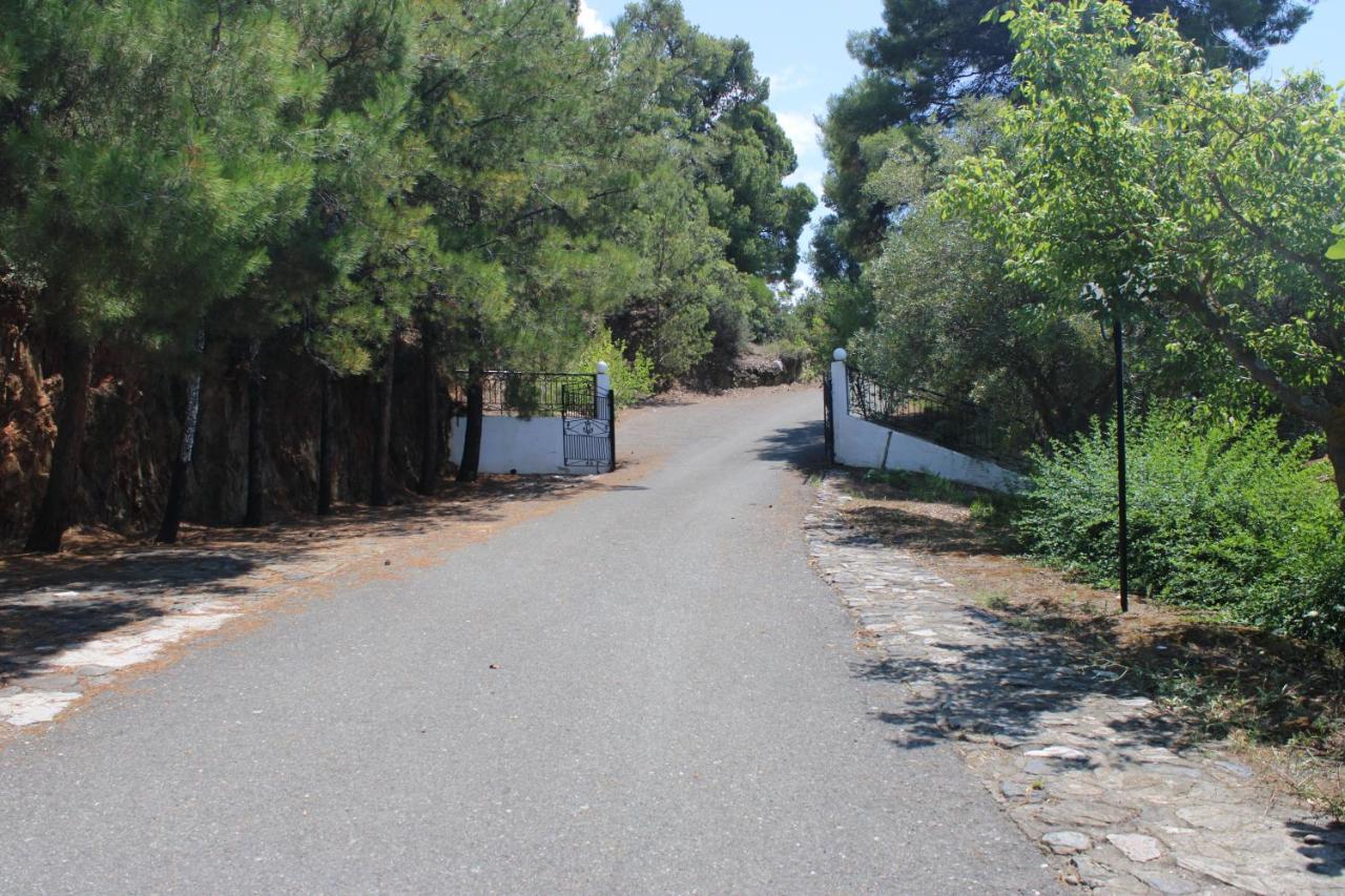 Thin Alos Apartament