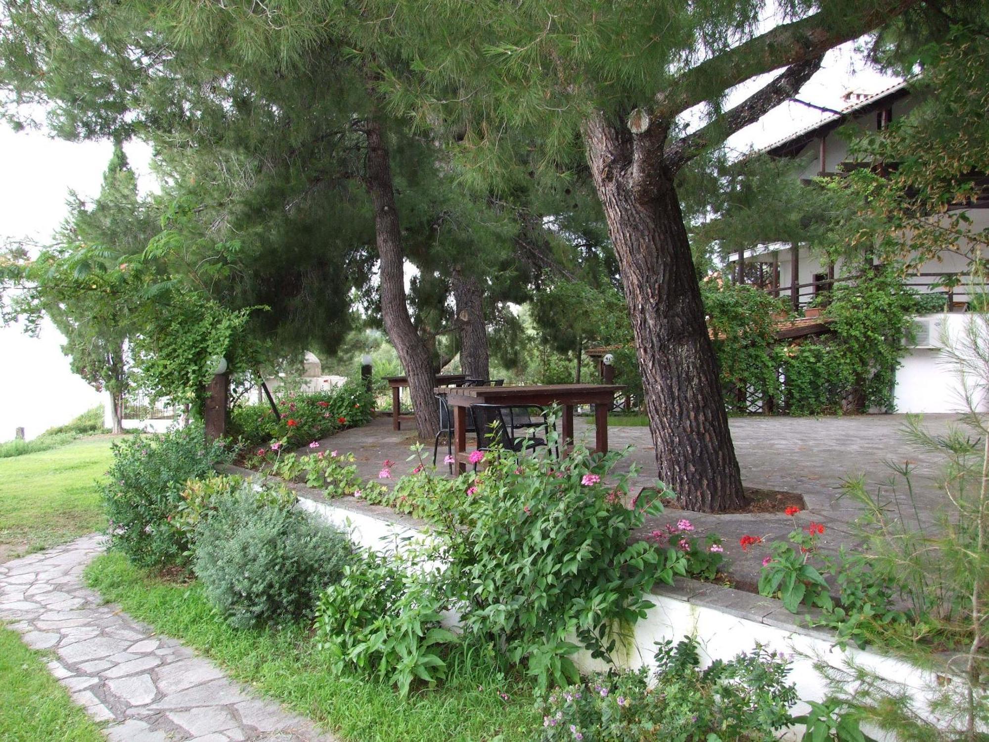 Apartament Thin Alos *