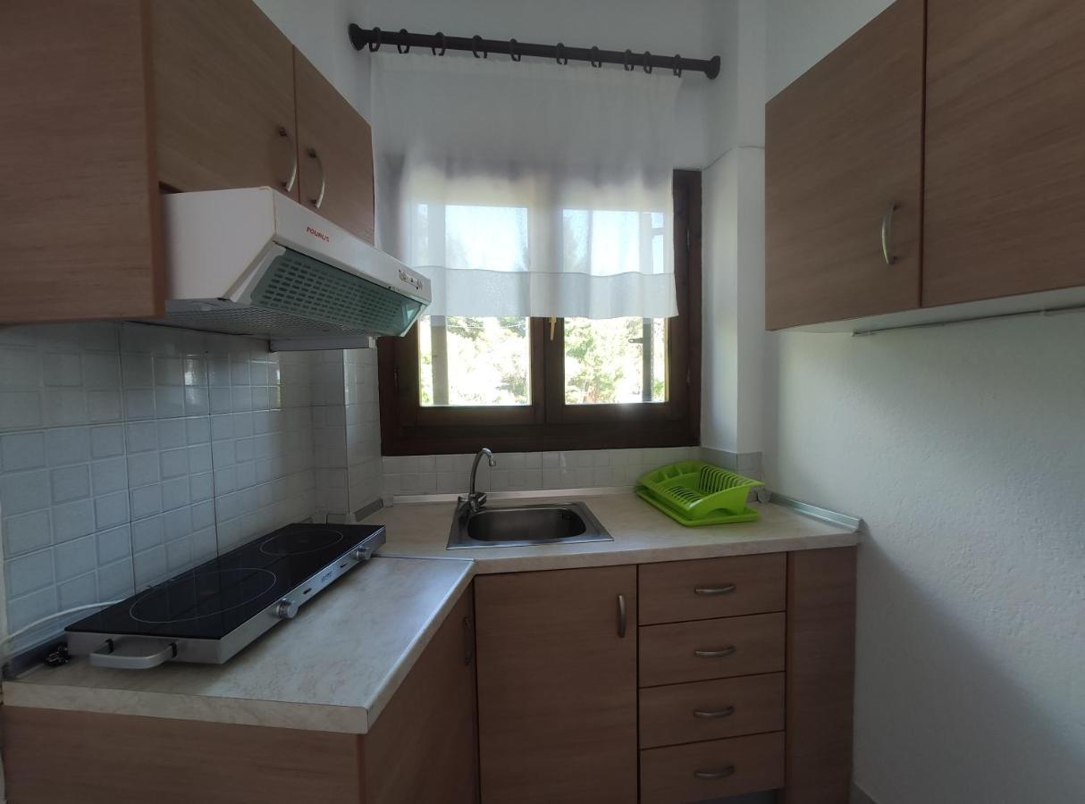 Thin Alos Apartment Neos Marmaras
